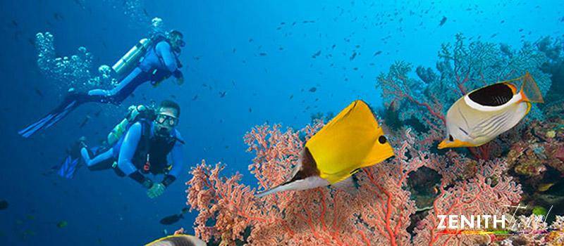 galapagos-dives-divers-reefs-fish.jpg