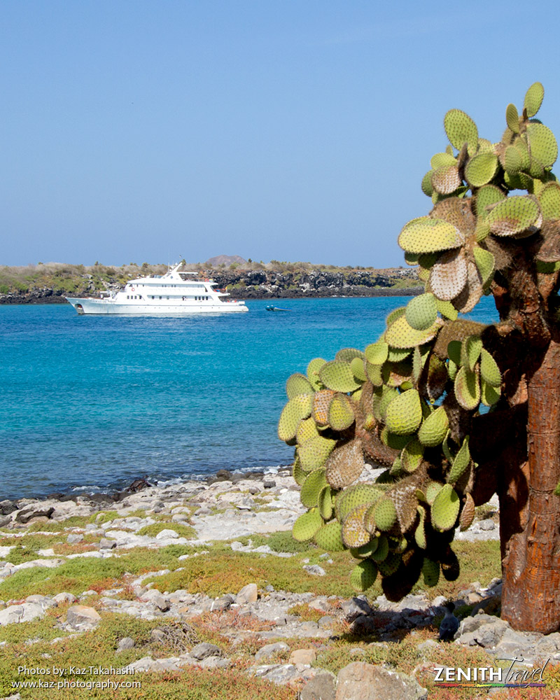 zt-kaz-galapagos-islands-cruise-on-shore-line.jpg