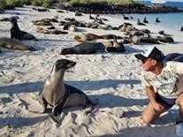 galapagos sea lions tourist