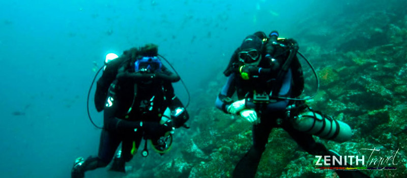 galapagos-dives-two-divers.jpg