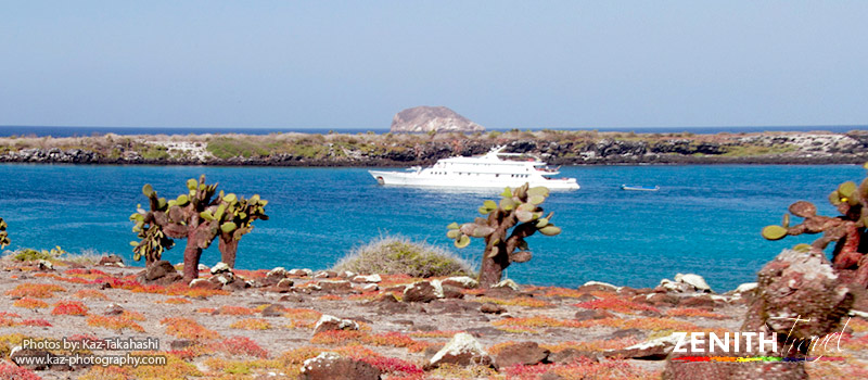 galapagos-coral-i-ship-near-red-cacti-land.jpg