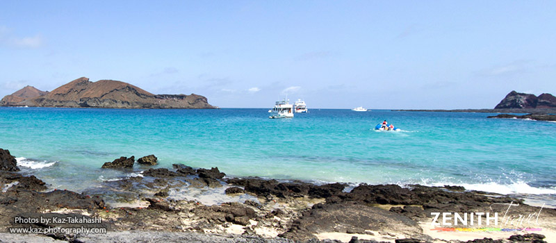 galapagos-islands-rocky-beach.jpg